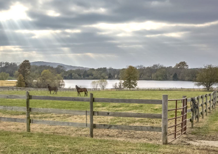 Buying A Horse Property In Kansas And Missouri